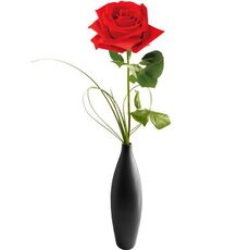 Single Red Rose In Glass Vase