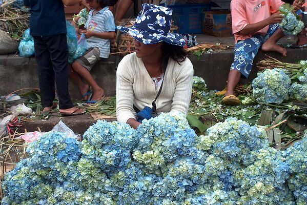 Visiting Bali's Most Beautiful Gardens and Flower Markets