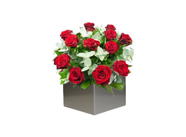 12 Red Roses Arrangement