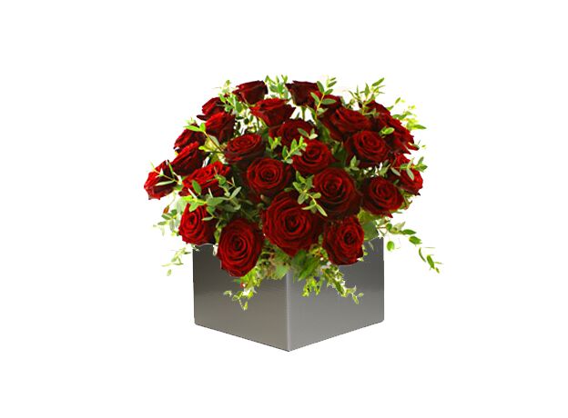 24 Red Roses Arrangement