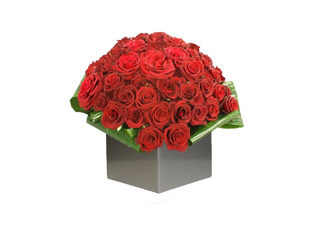 36 Red Roses Arrangement