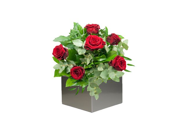 6 Red Roses Arrangement