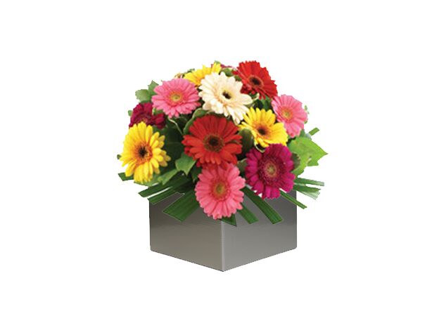 Bright Mixed Gerbera Arrangement