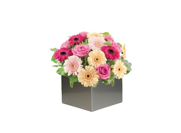 Pastel Gerbera's Arrangement