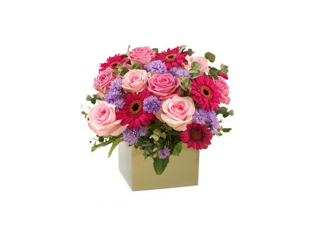 VIP Roses And Gerberas Arrangement