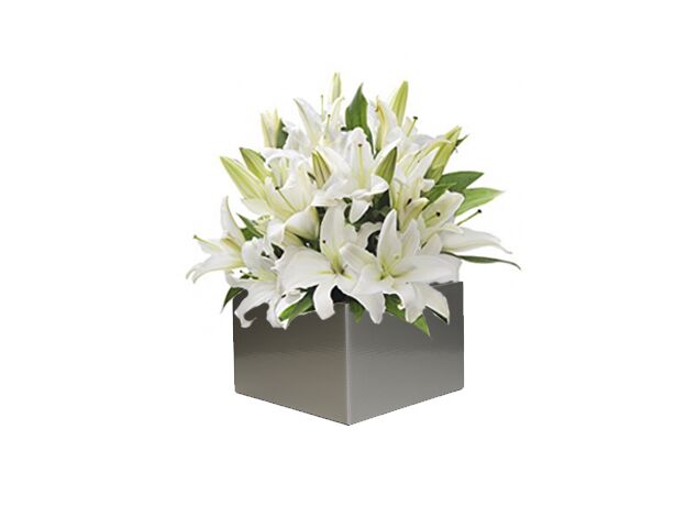 Oriental Lily Arrangement