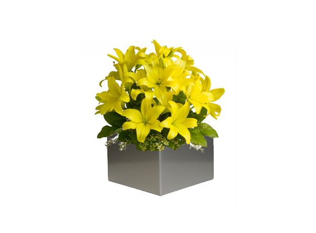 Yellow Lily Arrangement