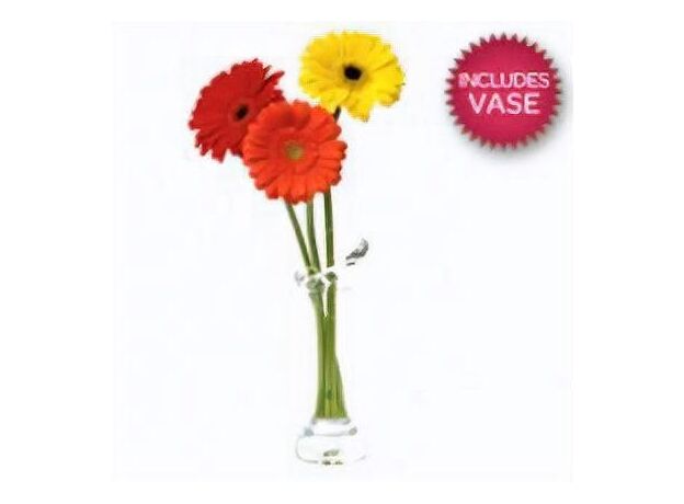 3 Gerberas In A Vase