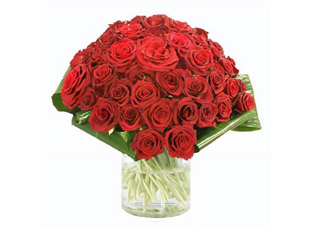 24 Red Roses Bunch