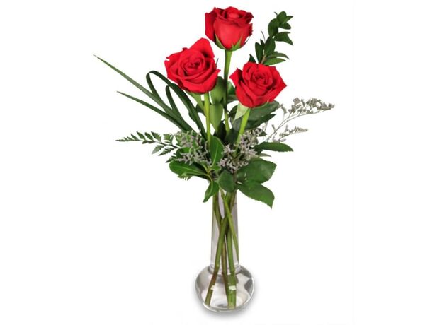 3 Red Roses In a Vase