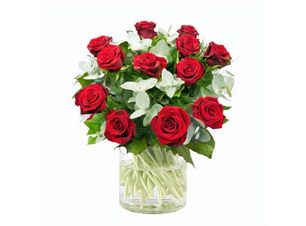 12 Red Roses Bunch