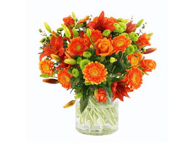 Mixed Orange Bunch