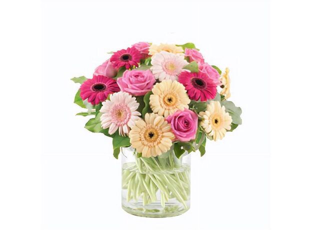 Pastel Gerbera's Bunch