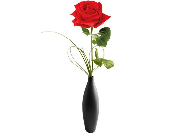 Single Red Rose In Glass Vase