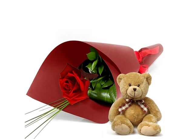 Single Wrapped Rose With Teddy